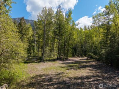 98 Cassel Way , Mazama, WA 98833 - Photo 30