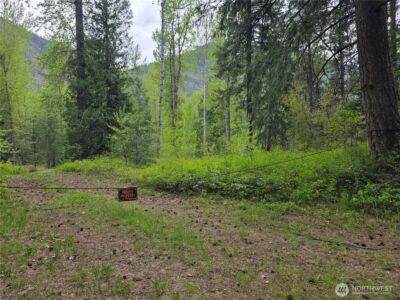98 Cassel Way , Mazama, WA 98833 - Photo 3