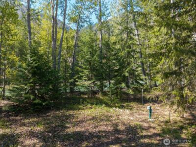 98 Cassel Way , Mazama, WA 98833 - Photo 31