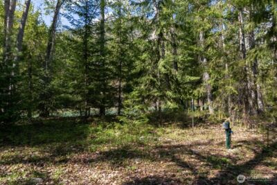 98 Cassel Way , Mazama, WA 98833 - Photo 35