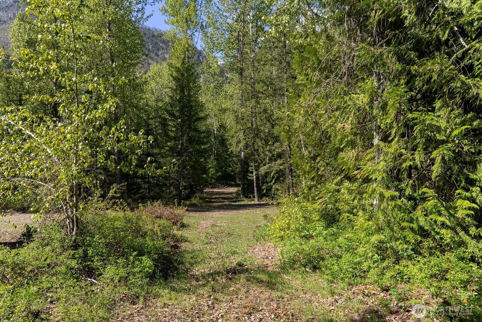 98 Cassel Way , Mazama, WA 98833