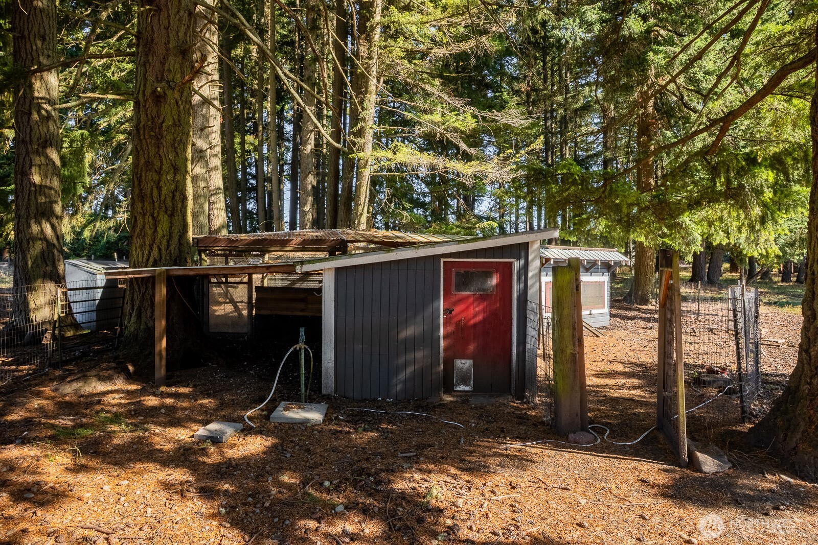 2534 180th Avenue SE, Tenino, WA 98589