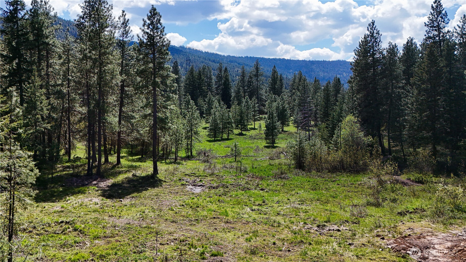 325 Graham Road , Cle Elum, WA 98922