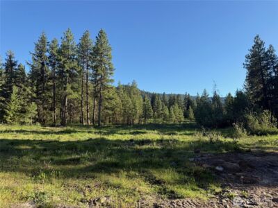 325 Graham Road , Cle Elum, WA 98922 - Photo 2
