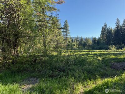325 Graham Road , Cle Elum, WA 98922 - Photo 8