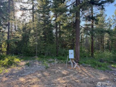 325 Graham Road , Cle Elum, WA 98922 - Photo 9
