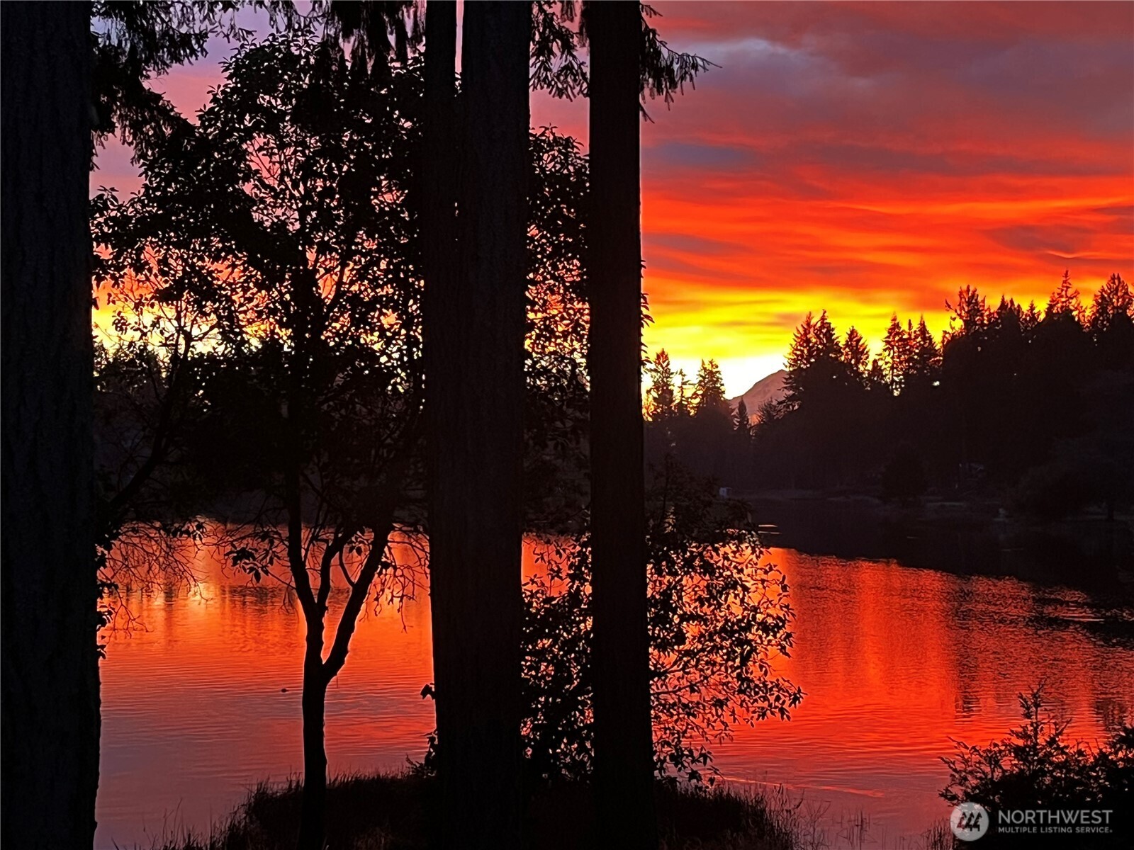 11013 Bayview Circle , Anderson Island, WA 98303