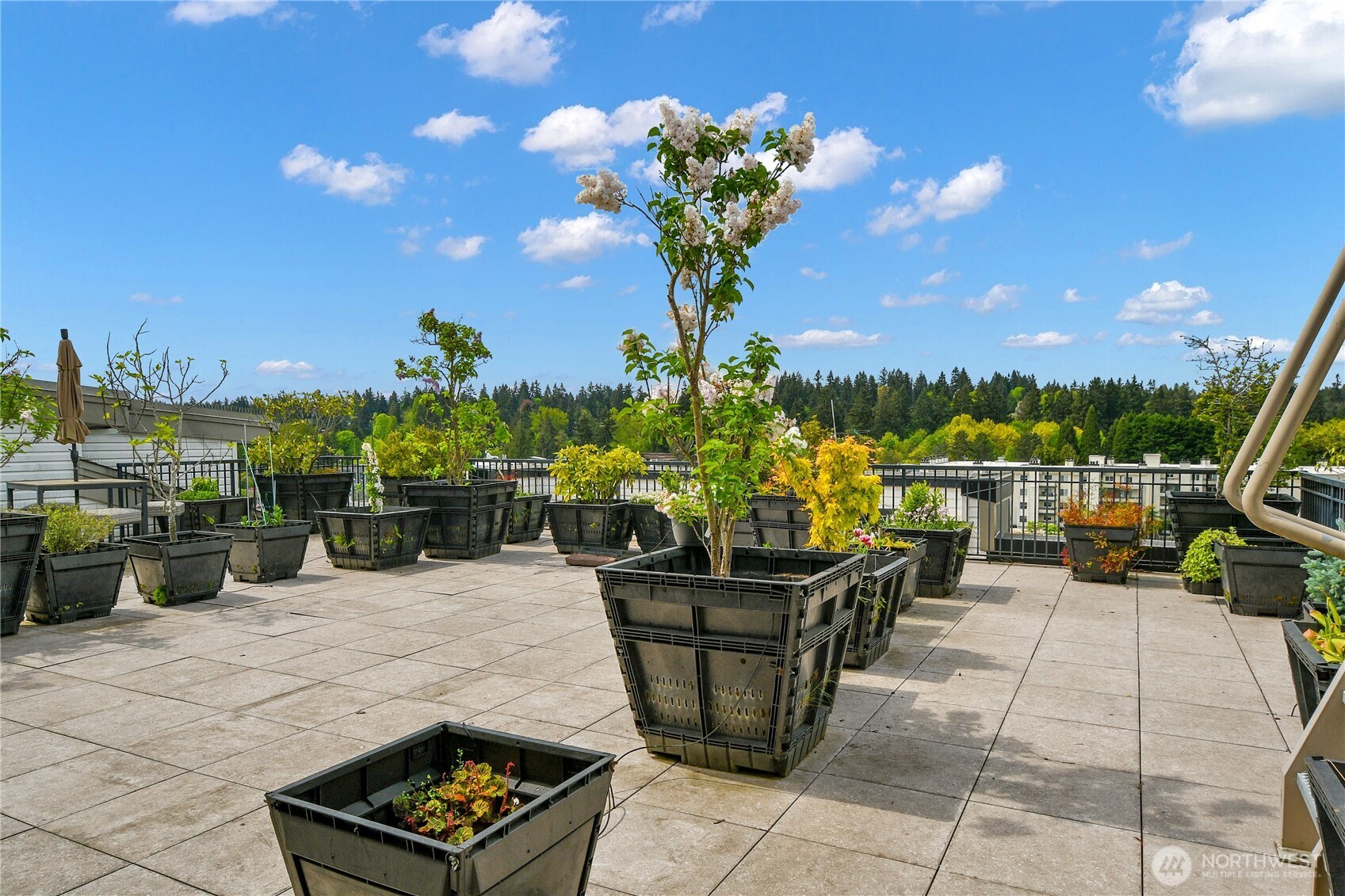 12334 31st Avenue NE #607, Seattle, WA 98125