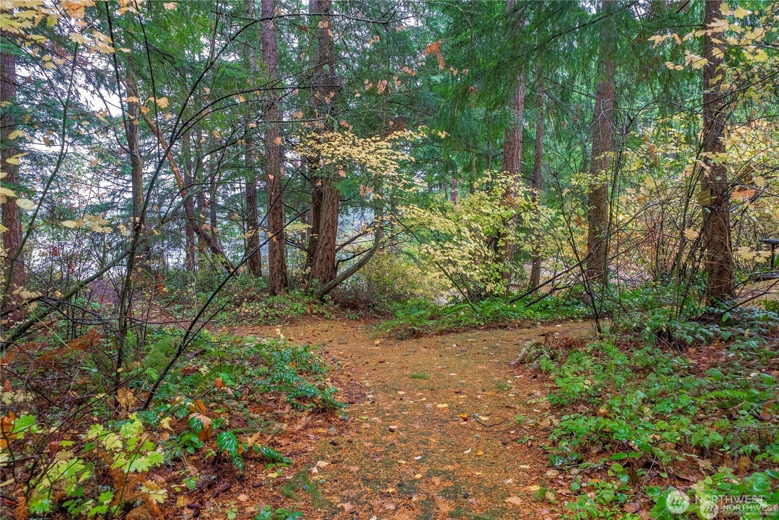22145 N Clear Lake Boulevard SE, Yelm, WA 98597
