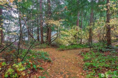 22145 N Clear Lake Boulevard SE, Yelm, WA 98597 - Photo 15