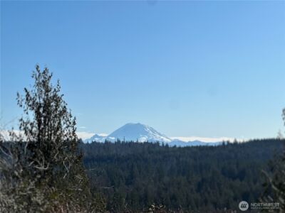 23747 262nd Place SE, Maple Valley, WA 98038 - Photo 38