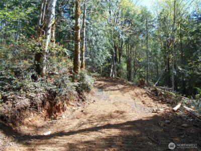 0 Dragonfly Place , Brinnon, WA 98320