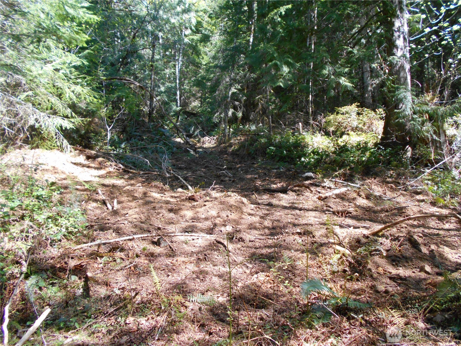 0 Dragonfly Place , Brinnon, WA 98320