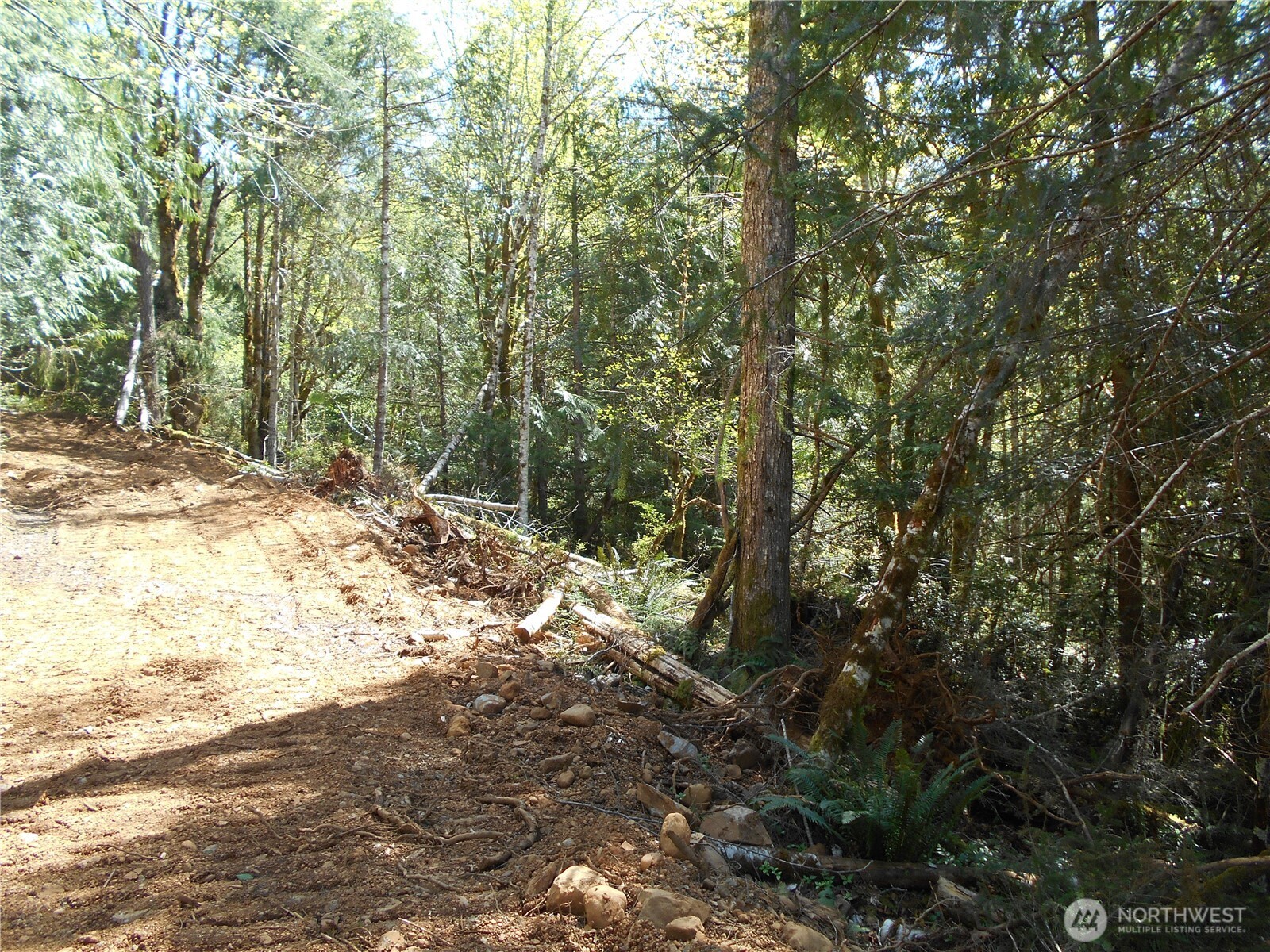 0 Dragonfly Place , Brinnon, WA 98320