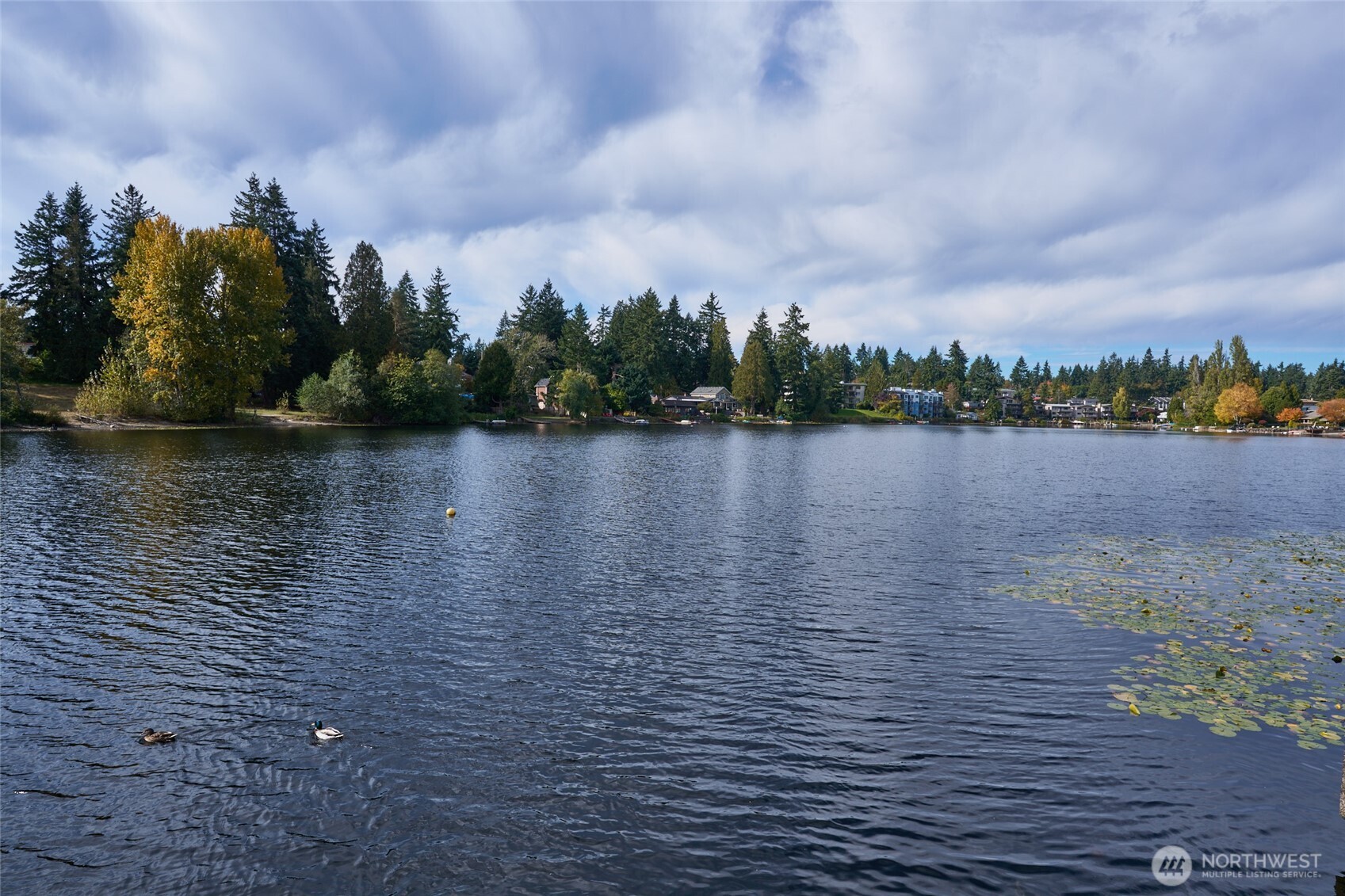 13229 Linden Avenue N #403B, Seattle, WA 98133