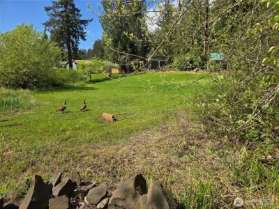 14818 Terrace Avenue SE, Tenino, WA 98589 - Photo 35