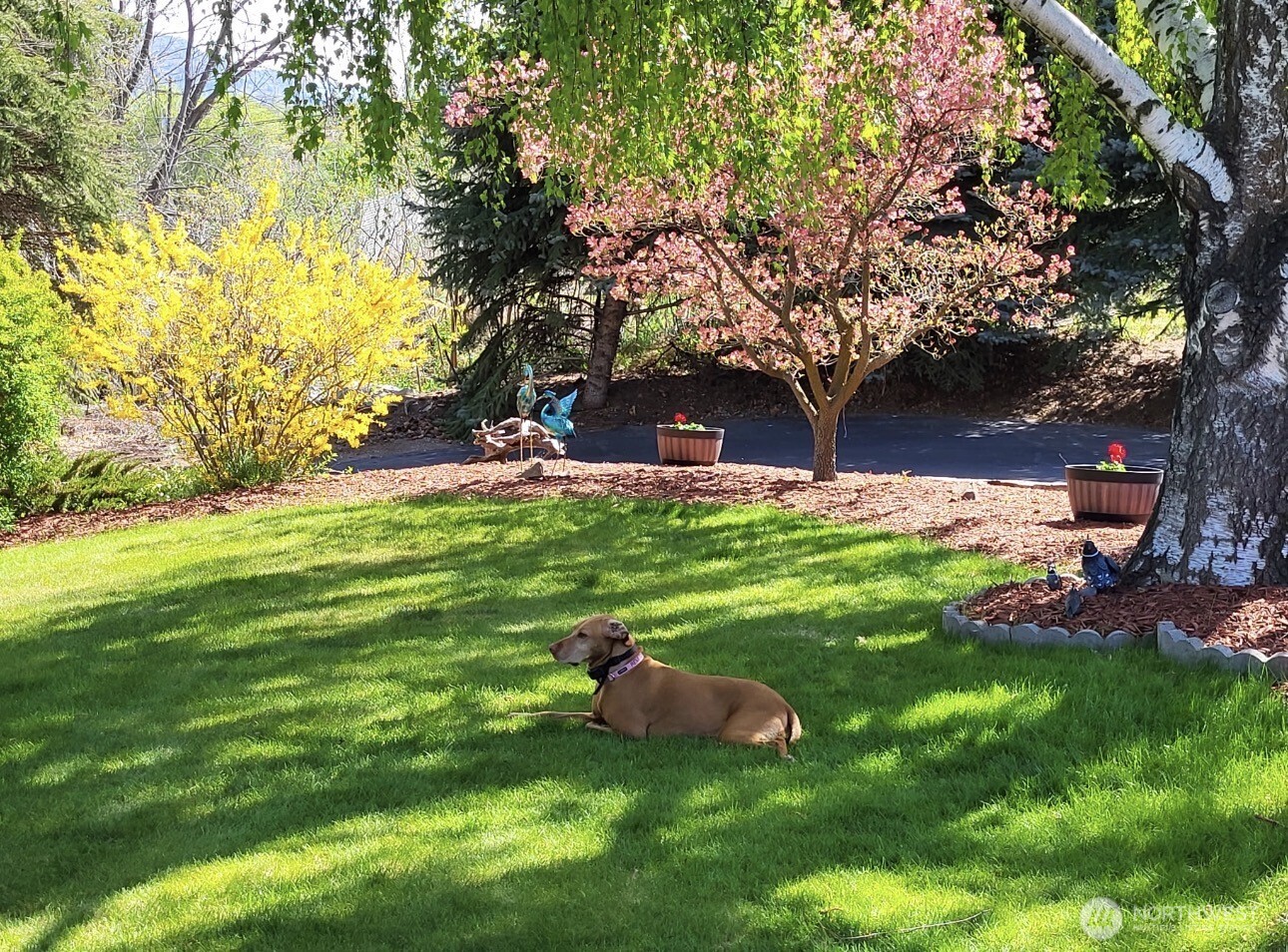 107 A WestLake Road , Oroville, WA 98844