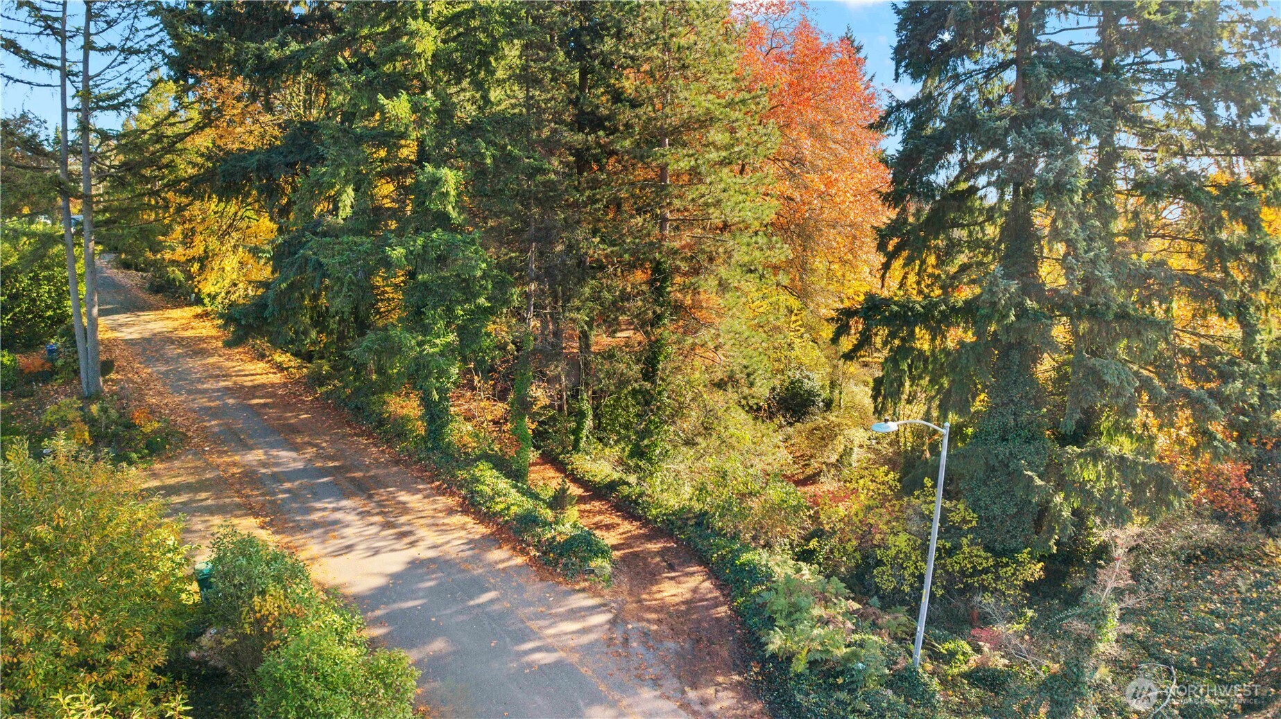 12117 SE 26th Street , Bellevue, WA 98005