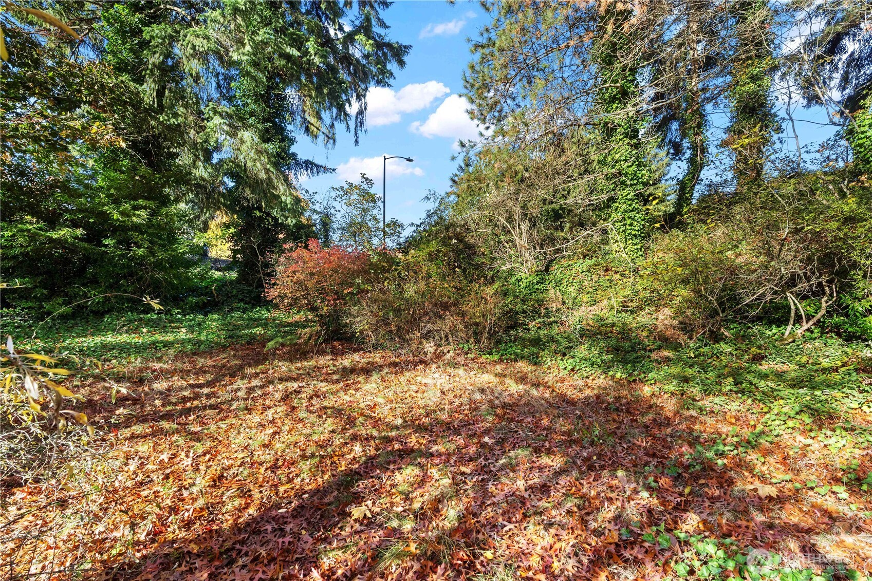12117 SE 26th Street , Bellevue, WA 98005
