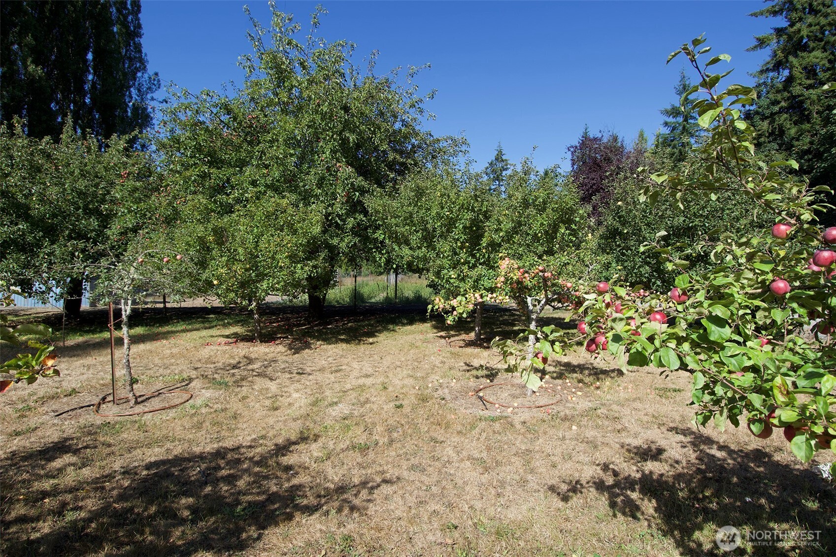 477 Wasankari Road , Port Angeles, WA 98363
