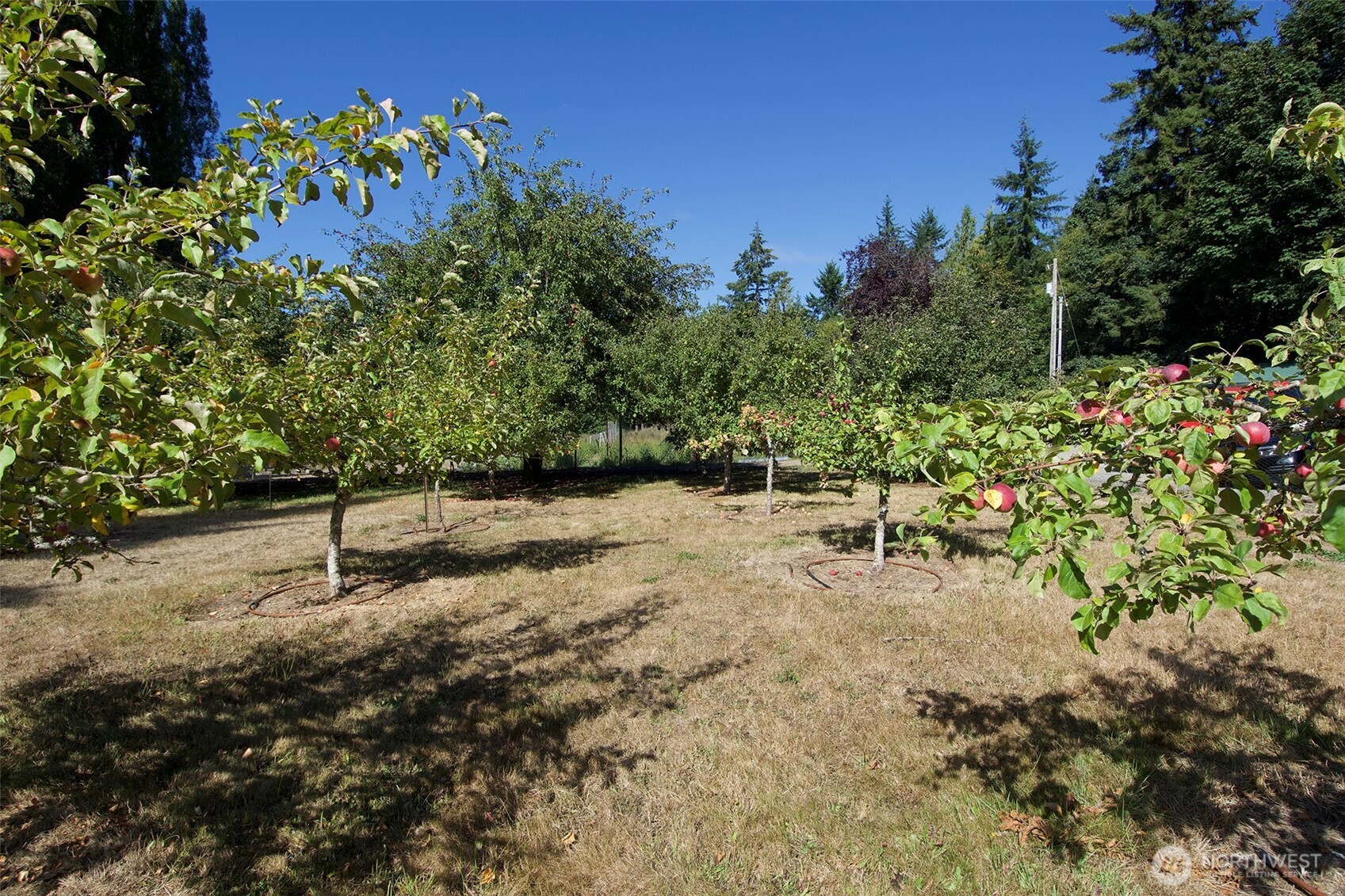 477 Wasankari Road , Port Angeles, WA 98363