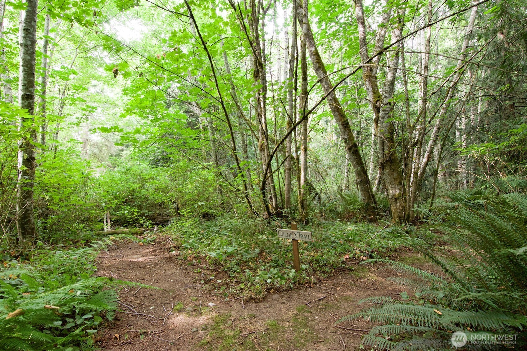 477 Wasankari Road , Port Angeles, WA 98363