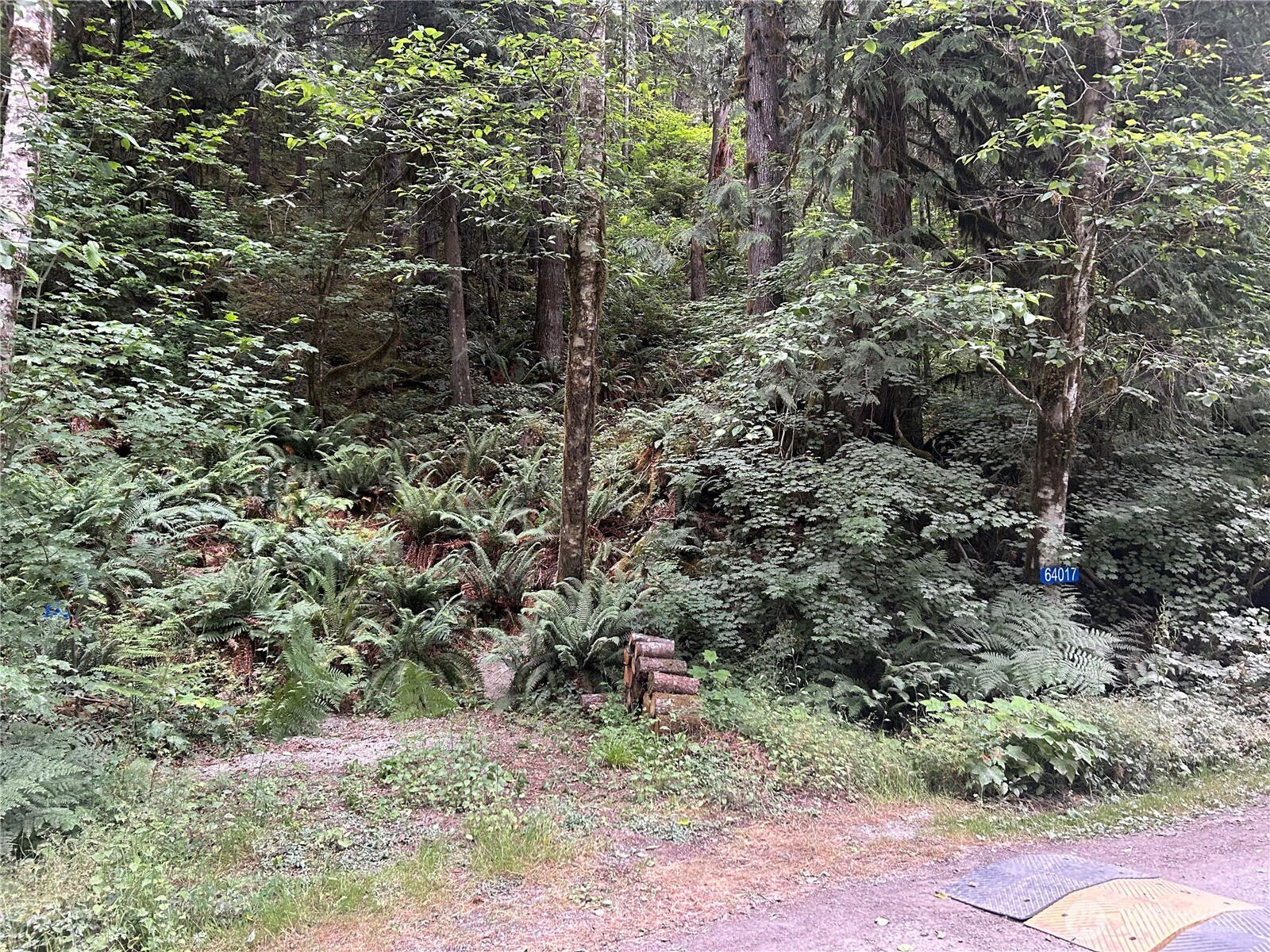 64017 E Cascade Drive , Marblemount, WA 98267