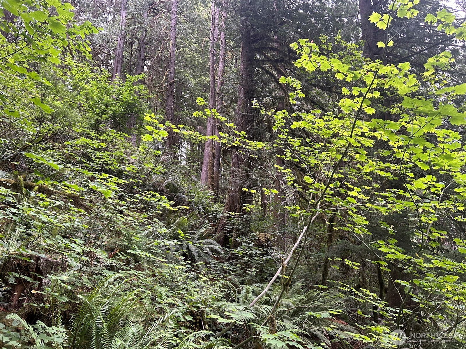 64017 E Cascade Drive , Marblemount, WA 98267