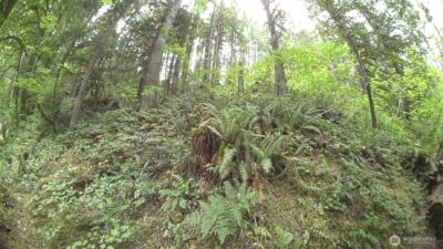 64017 E Cascade Drive , Marblemount, WA 98267 - Photo 11