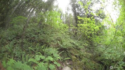 64017 E Cascade Drive , Marblemount, WA 98267 - Photo 12