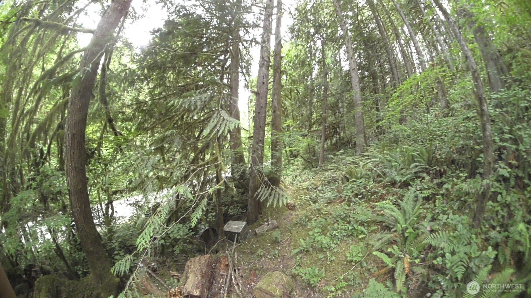 64017 E Cascade Drive , Marblemount, WA 98267