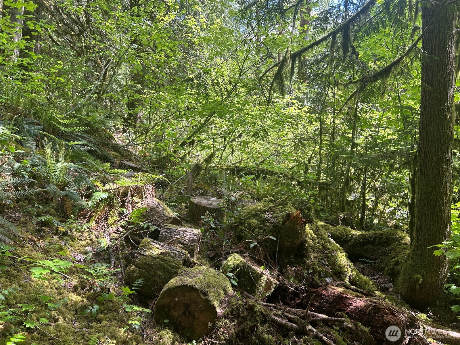64017 E Cascade Drive , Marblemount, WA 98267