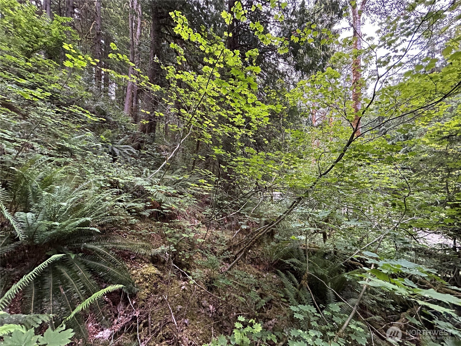 64017 E Cascade Drive , Marblemount, WA 98267