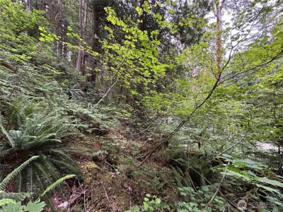 64017 E Cascade Drive , Marblemount, WA 98267 - Photo 4