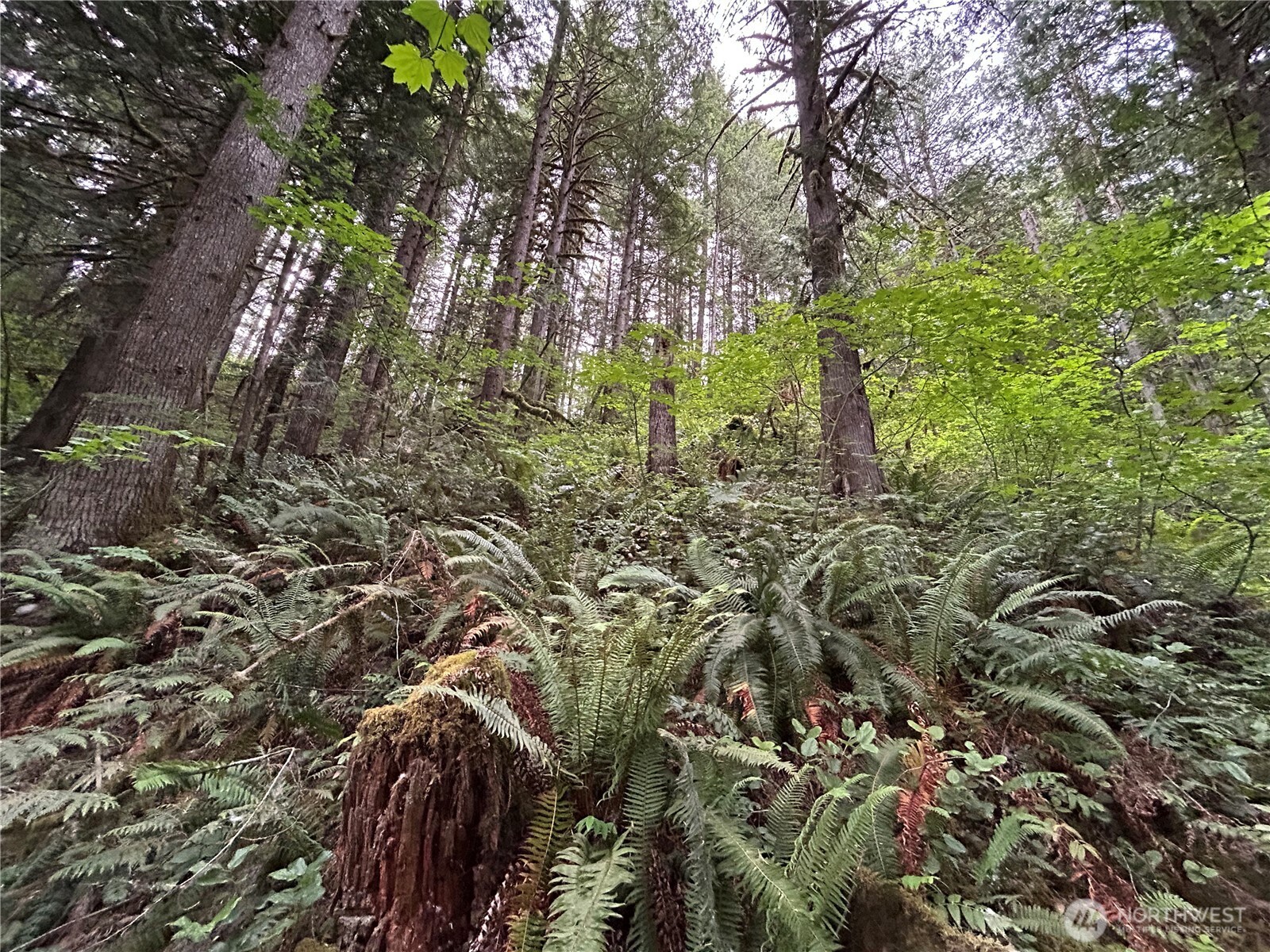 64017 E Cascade Drive , Marblemount, WA 98267
