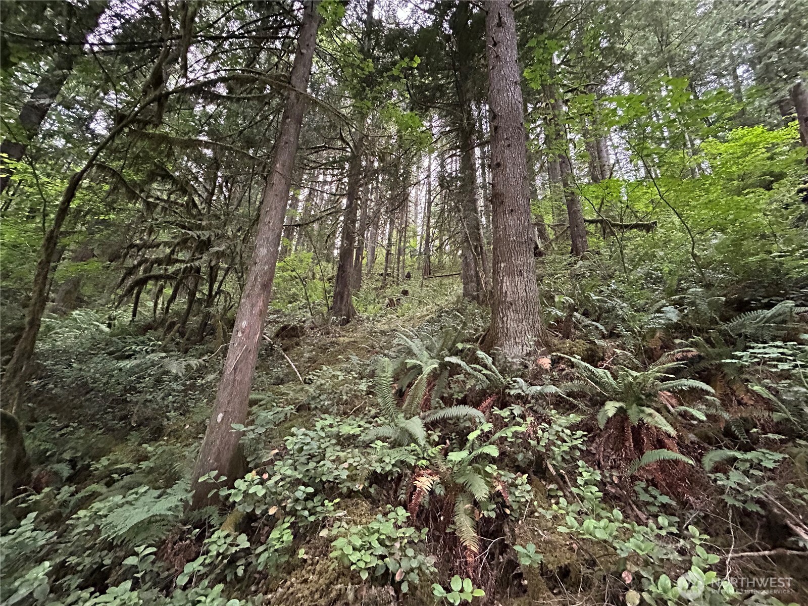 64017 E Cascade Drive , Marblemount, WA 98267