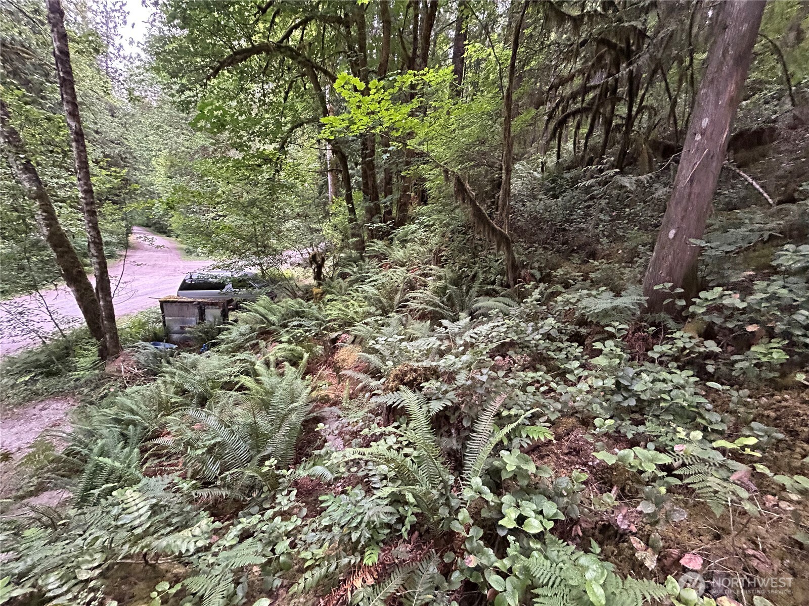 64017 E Cascade Drive , Marblemount, WA 98267