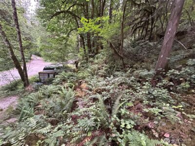 64017 E Cascade Drive , Marblemount, WA 98267 - Photo 7