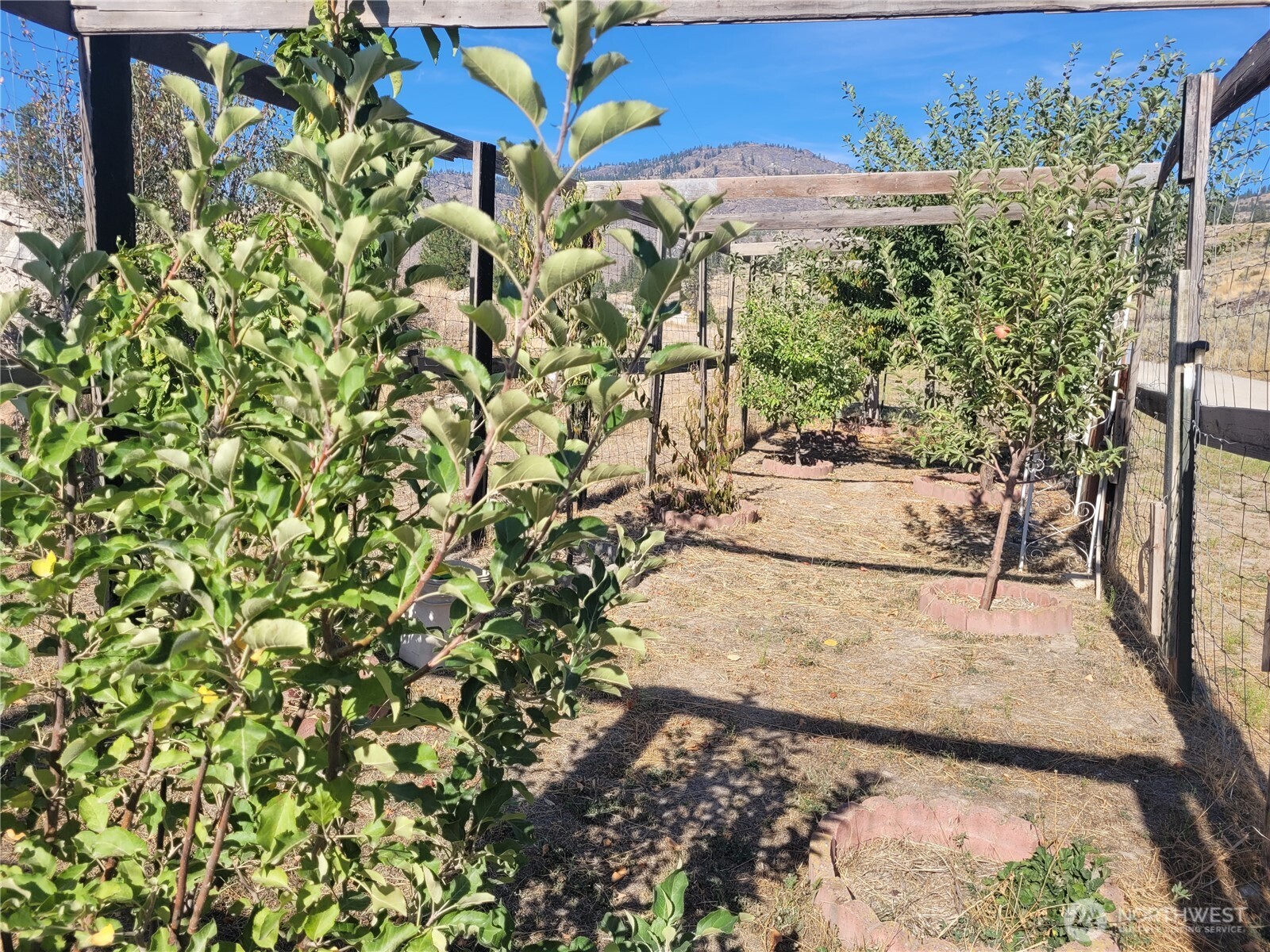 20 Round Up Road , Oroville, WA 98844