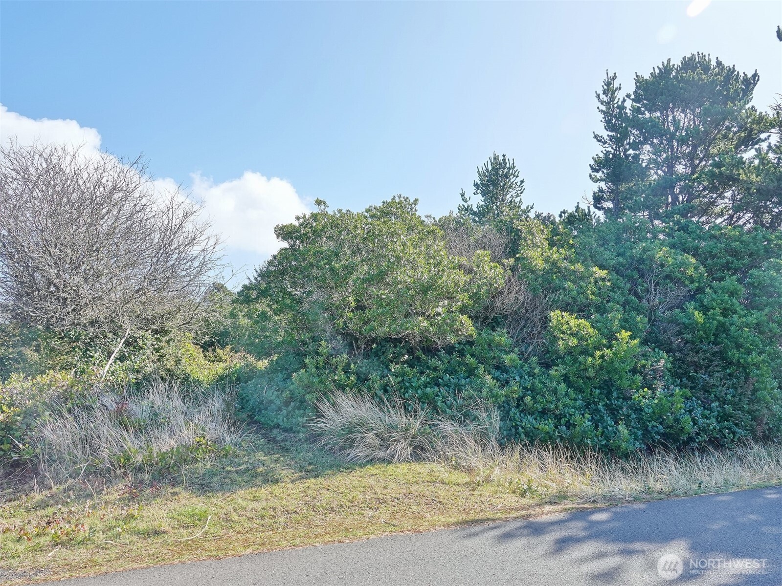 470 Sand Dune Avenue SW, Ocean Shores, WA 98569