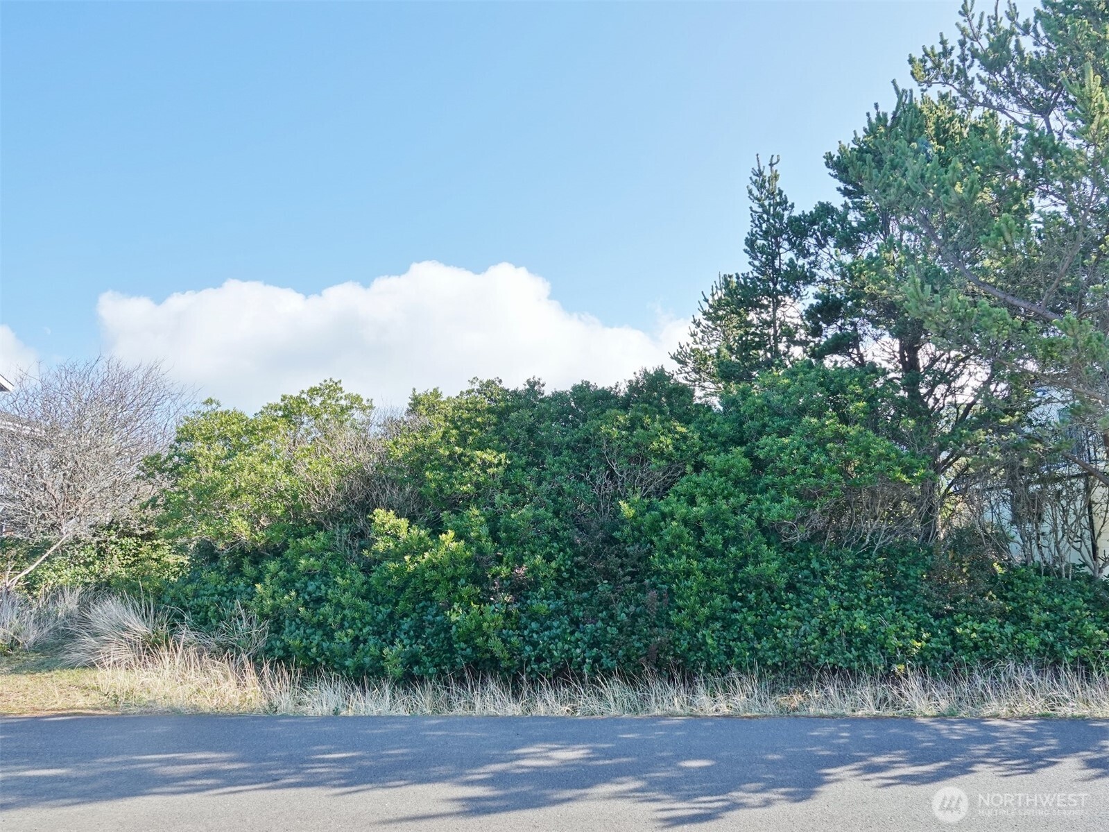 470 Sand Dune Avenue SW, Ocean Shores, WA 98569