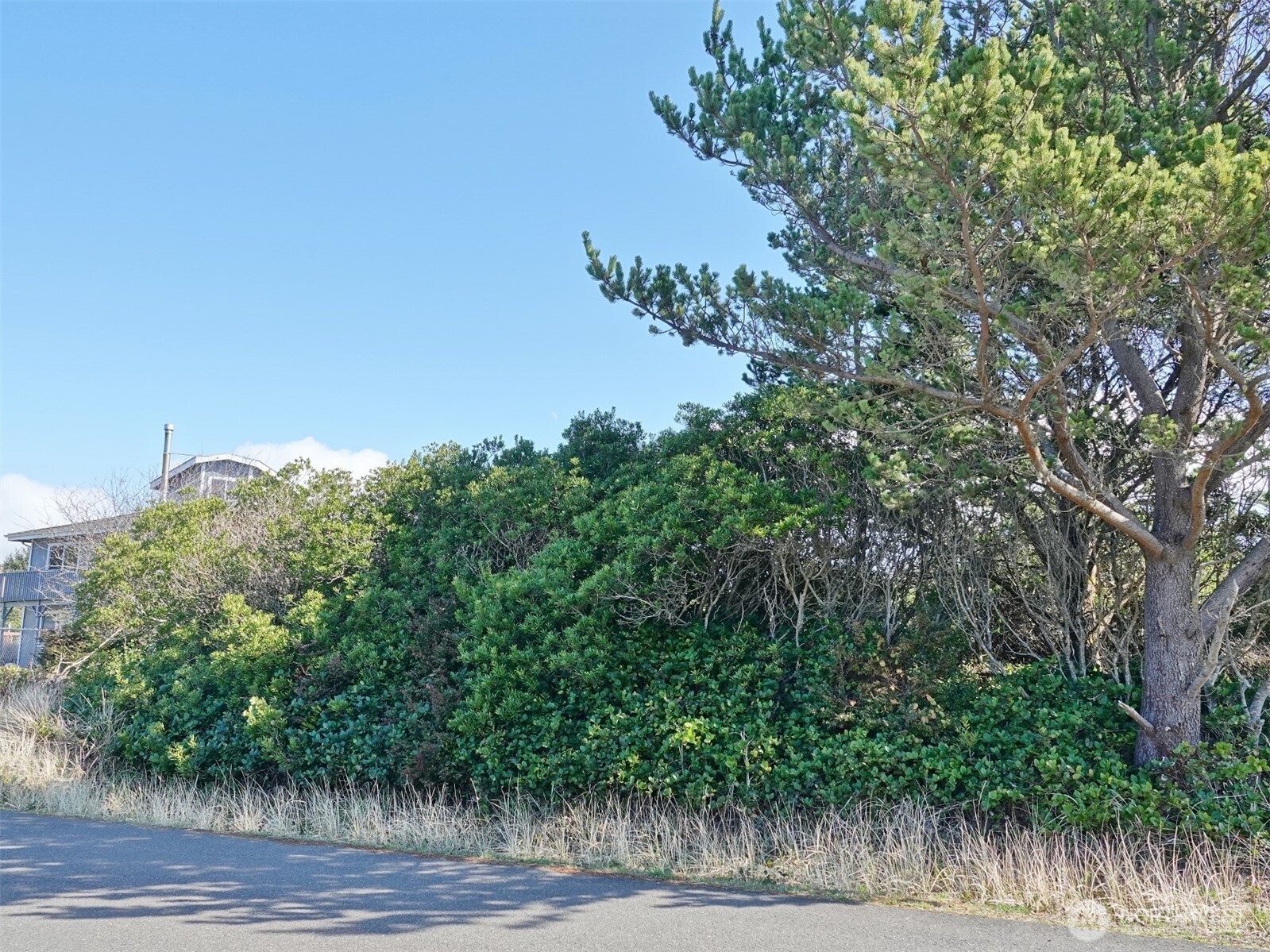 470 Sand Dune Avenue SW, Ocean Shores, WA 98569