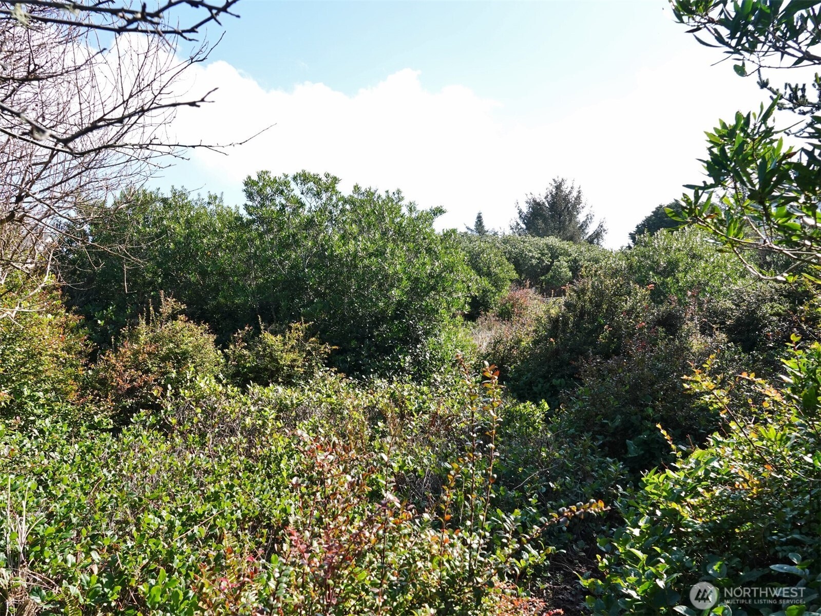 470 Sand Dune Avenue SW, Ocean Shores, WA 98569