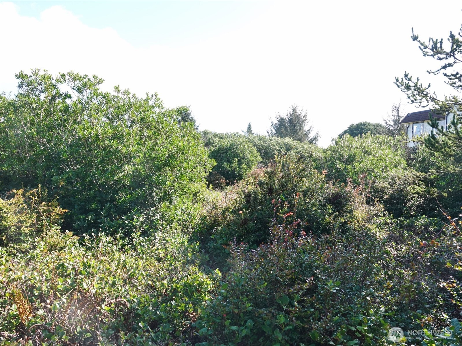 470 Sand Dune Avenue SW, Ocean Shores, WA 98569