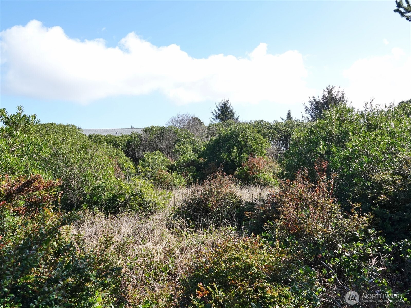 470 Sand Dune Avenue SW, Ocean Shores, WA 98569