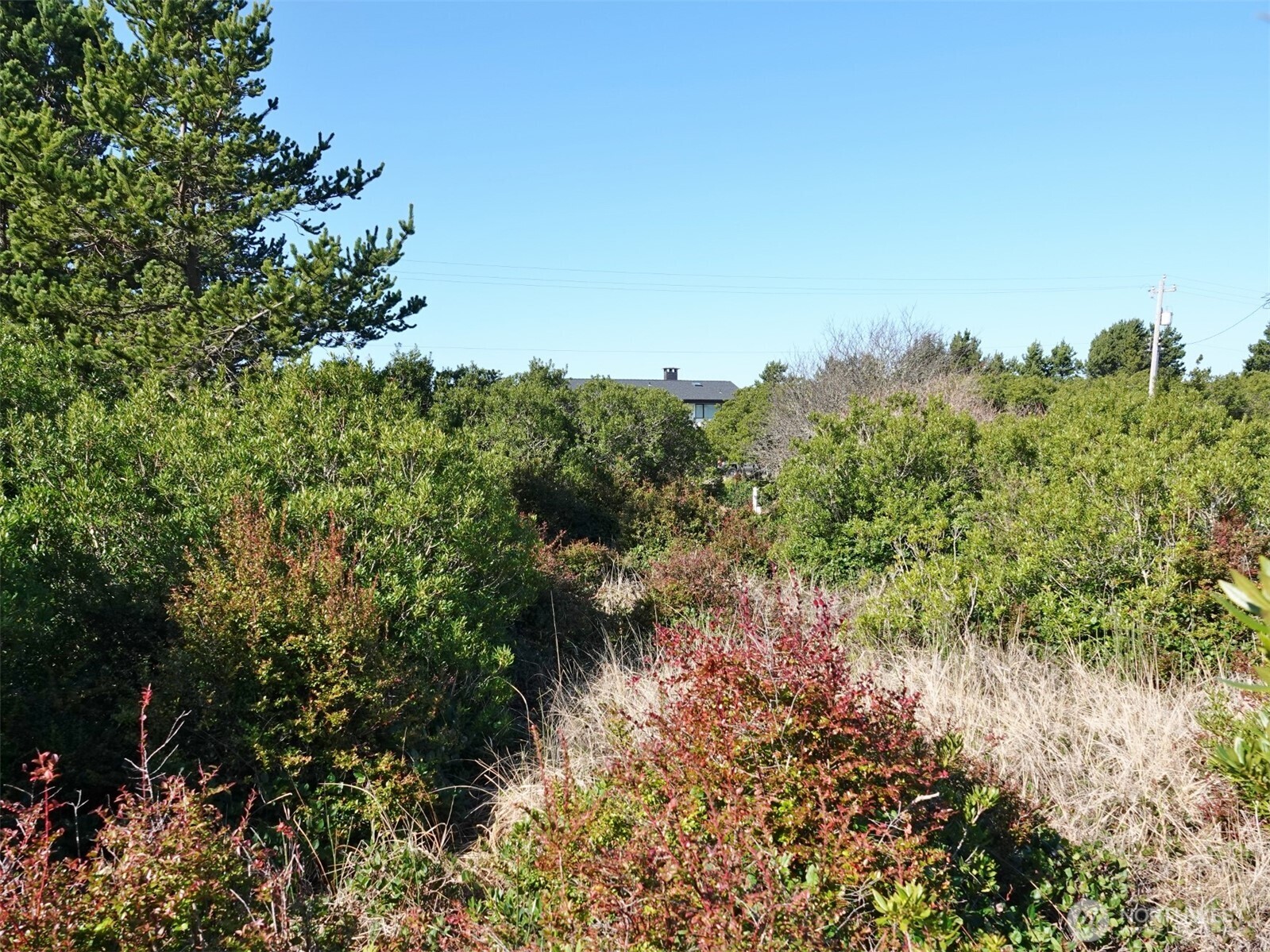 470 Sand Dune Avenue SW, Ocean Shores, WA 98569