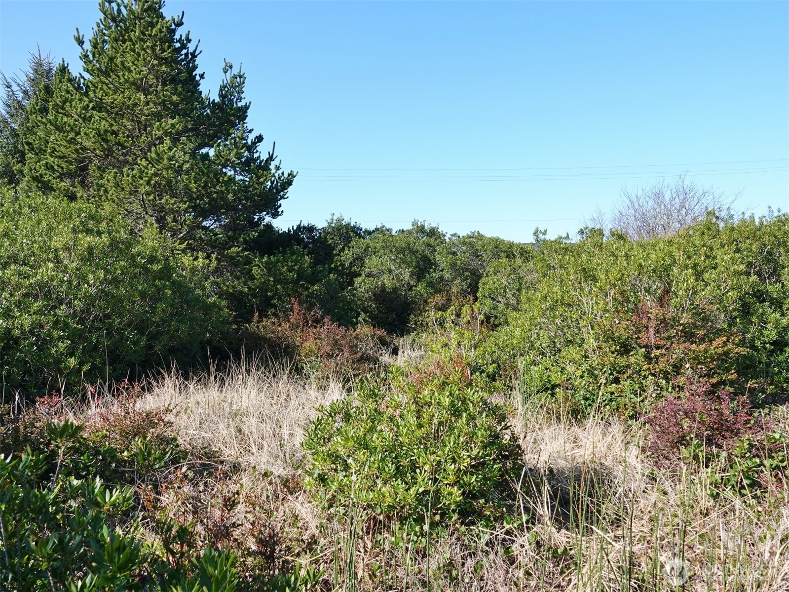470 Sand Dune Avenue SW, Ocean Shores, WA 98569