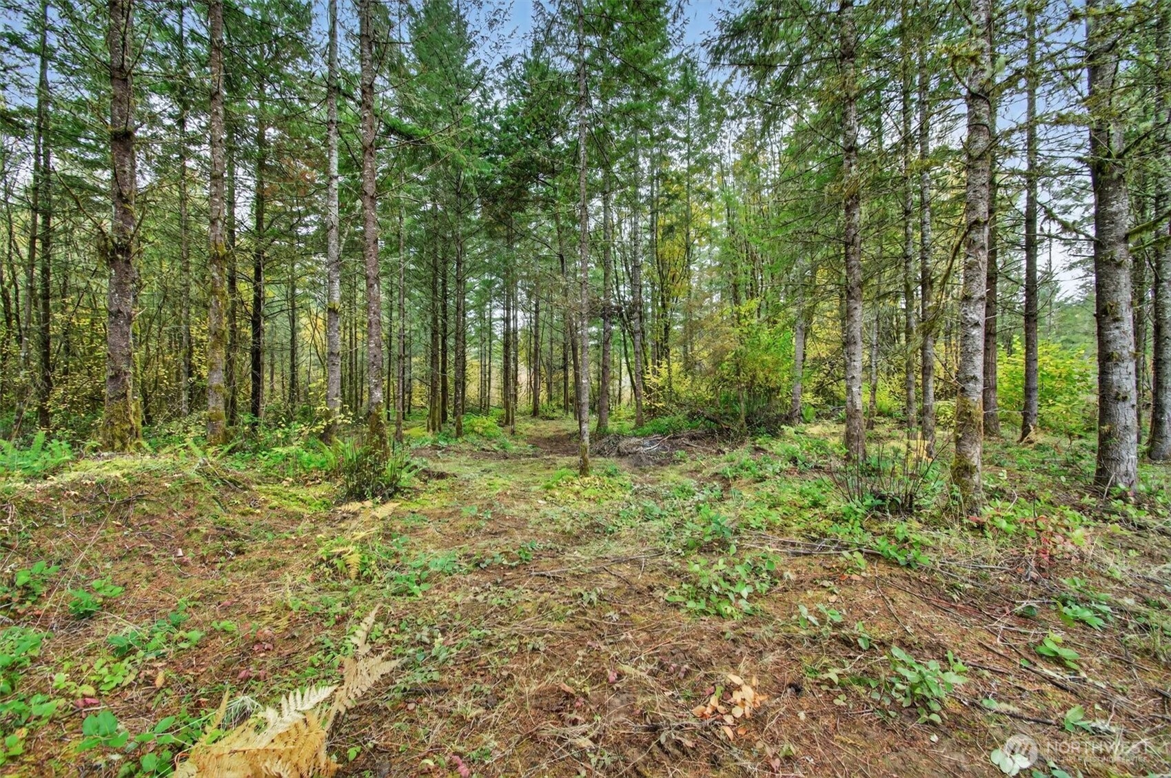 131 Kuty Drive , Toledo, WA 98951