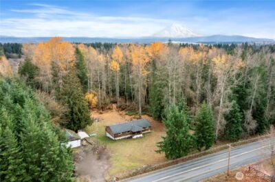 29621 Webster Road E, Graham, WA 98338 - Photo 2