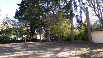 1555 Swartout Road , Manson, WA 98831 - Photo 37